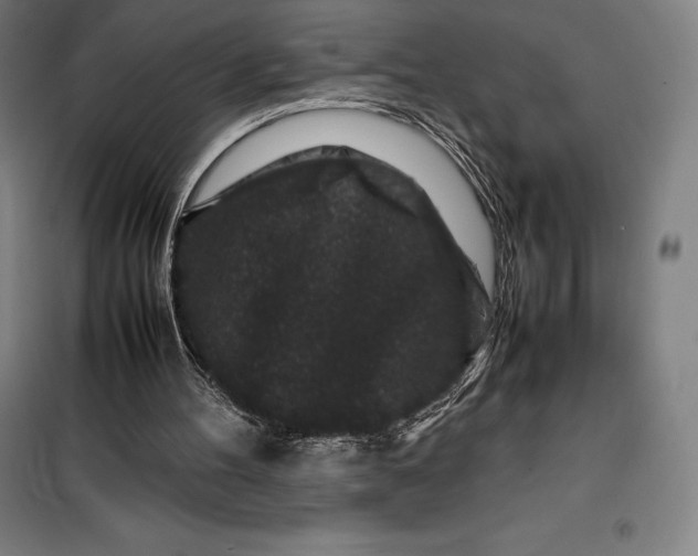 X0000099470100200805301605