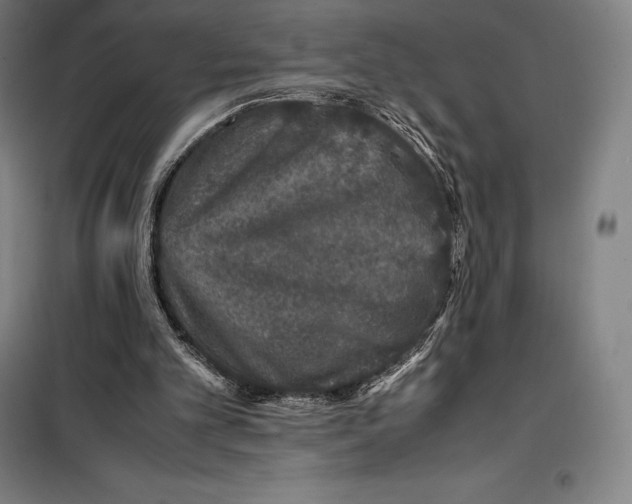 X0000099470101200805301605