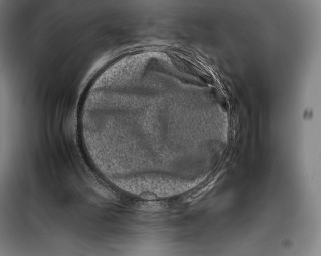 X0000099470102200805301605