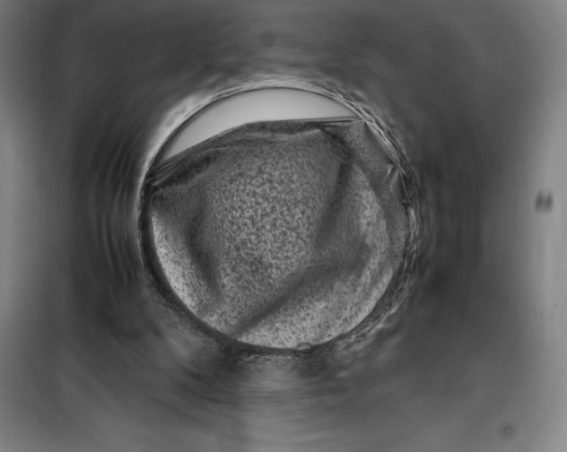 X0000099470104200805301605