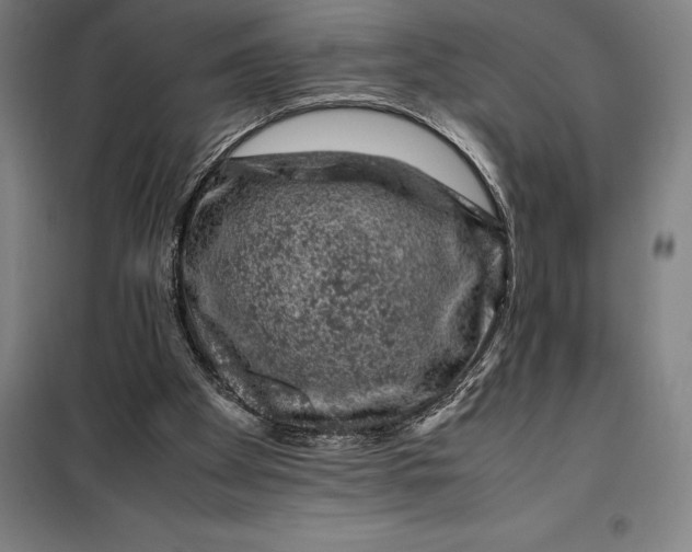 X0000099470105200805301605