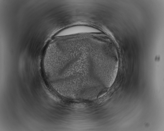 X0000099470106200805301605