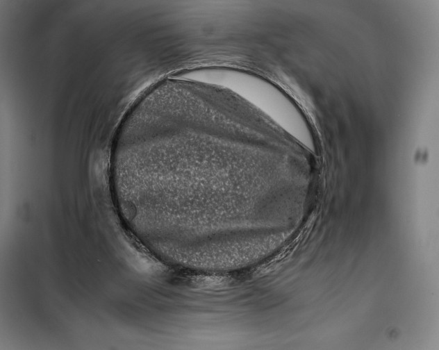 X0000099470107200805301605