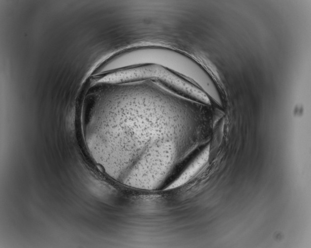 X0000099470108200805301605