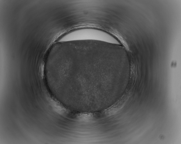 X0000099470110200805301605