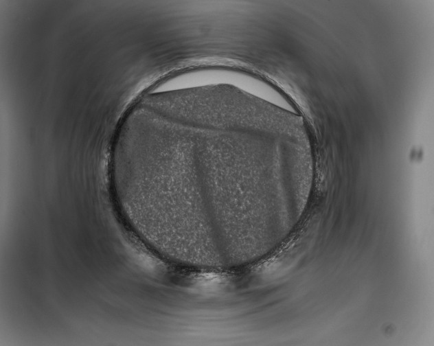 X0000099470111200805301605