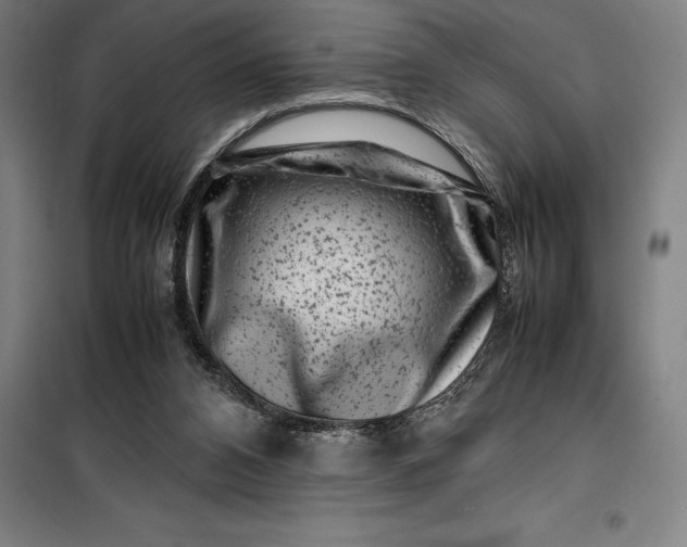 X0000099470112200805301605