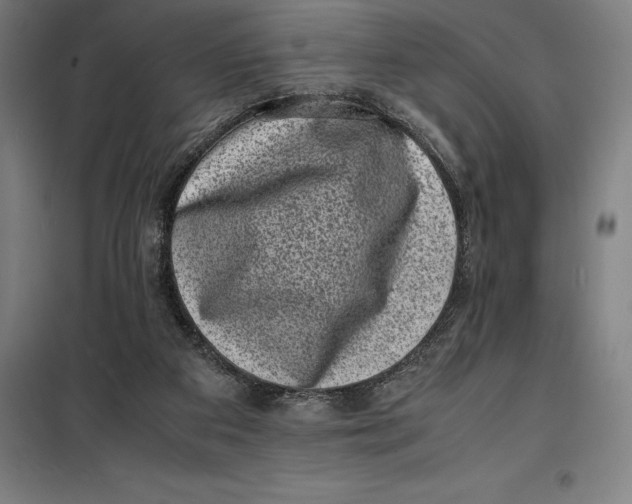 X0000099470113200805301605