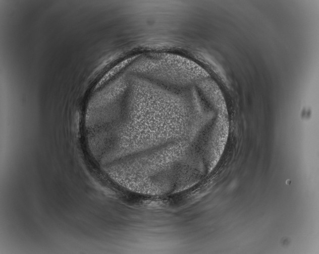 X0000099470115200805301605