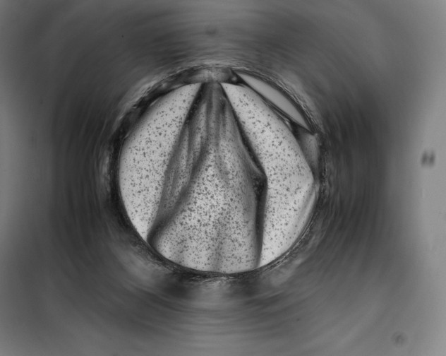 X0000099470116200805301605