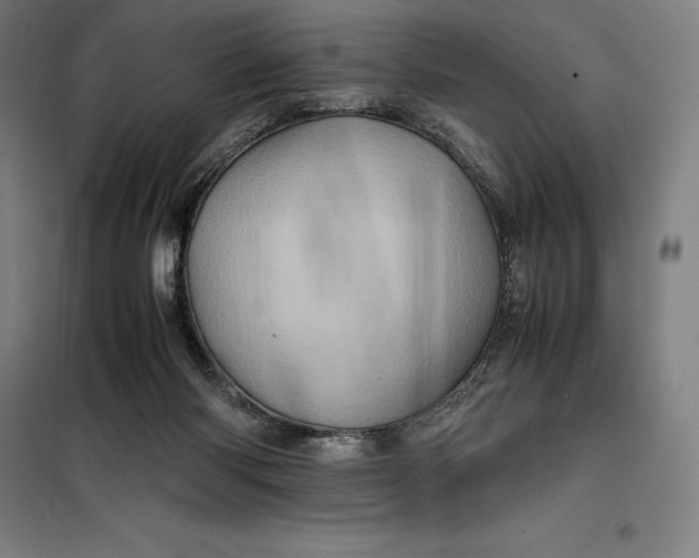 X0000099470118200805301605