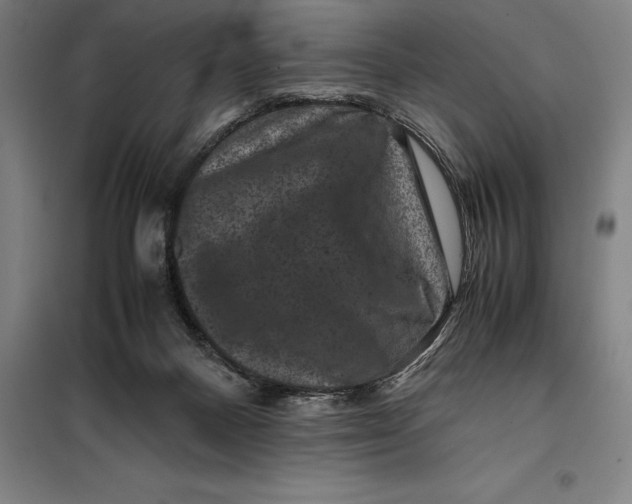 X0000099470120200805301605