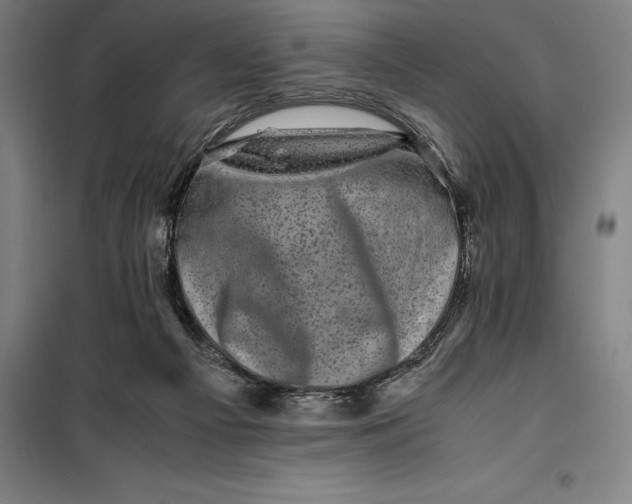 X0000099470121200805301605