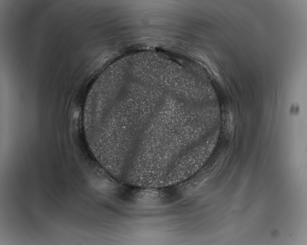 X0000099470123200805301605