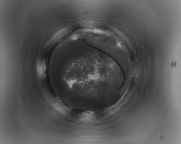 X0000099470124200805301604