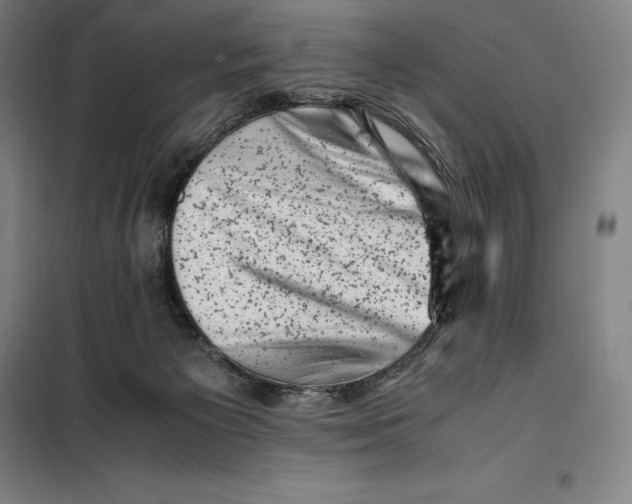 X0000099470125200805301604