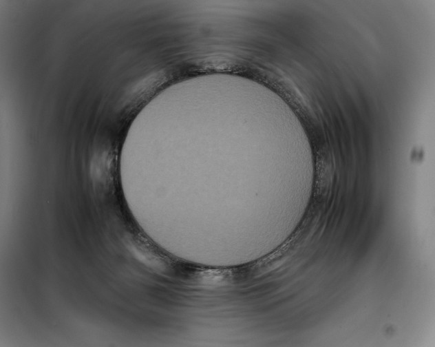 X0000099470126200805301604