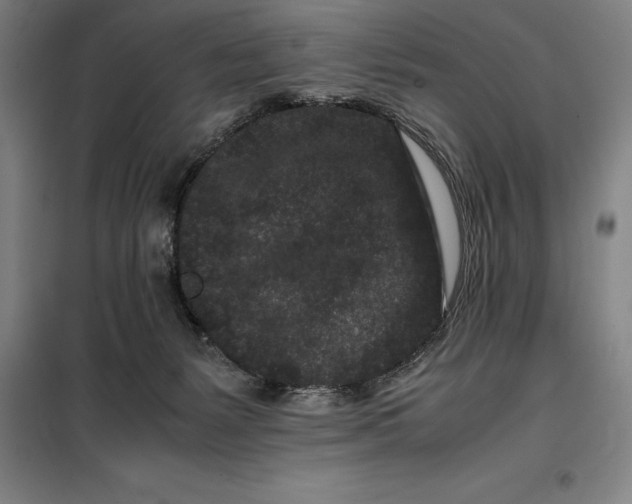 X0000099470127200805301604