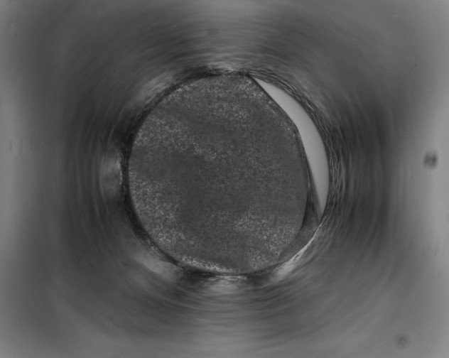 X0000099470128200805301604