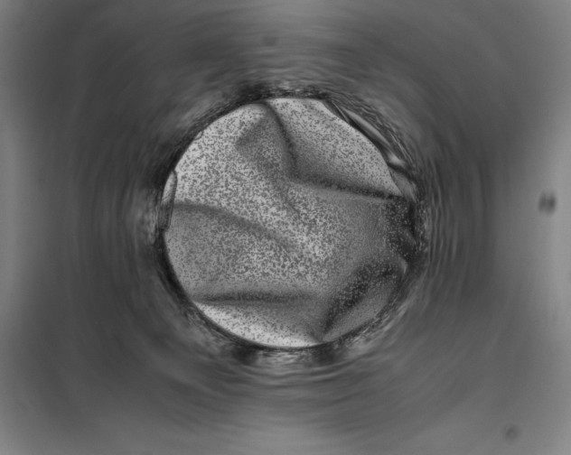 X0000099470129200805301604