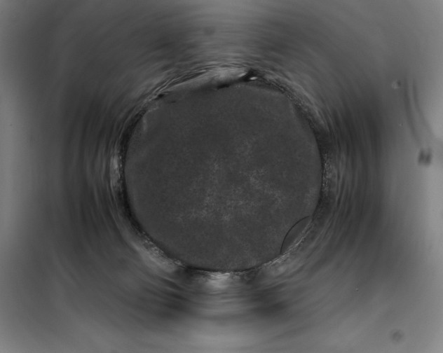 X0000099470130200805301604