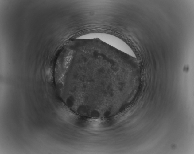 X0000099470131200805301604