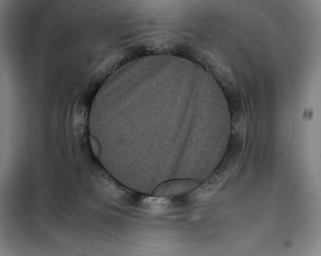 X0000099470133200805301604