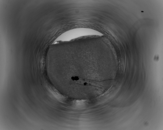 X0000099470134200805301604