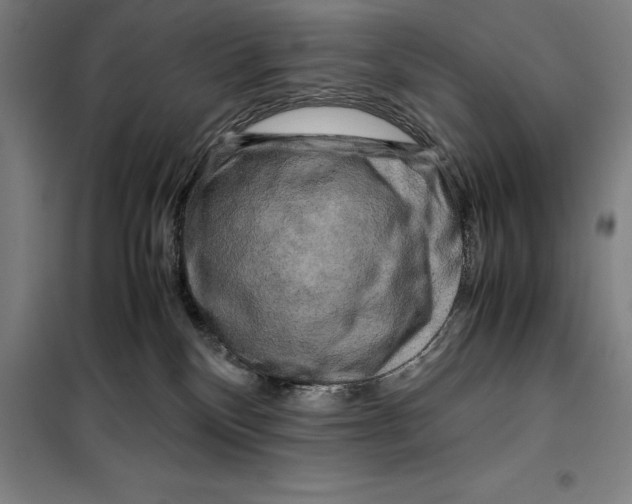 X0000099470136200805301604