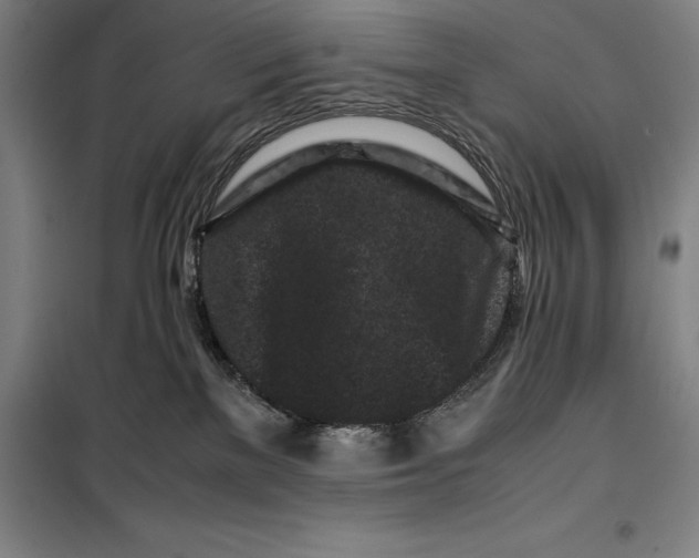 X0000099470137200805301604