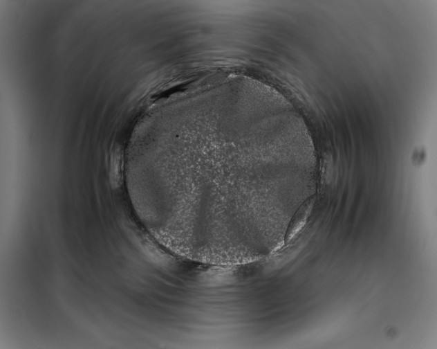 X0000099470138200805301604