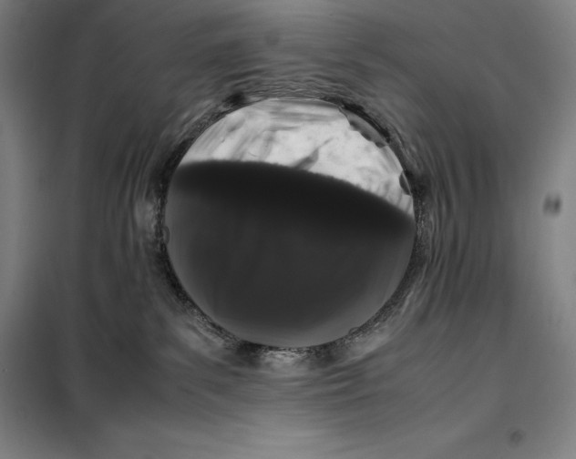 X0000099470139200805301604