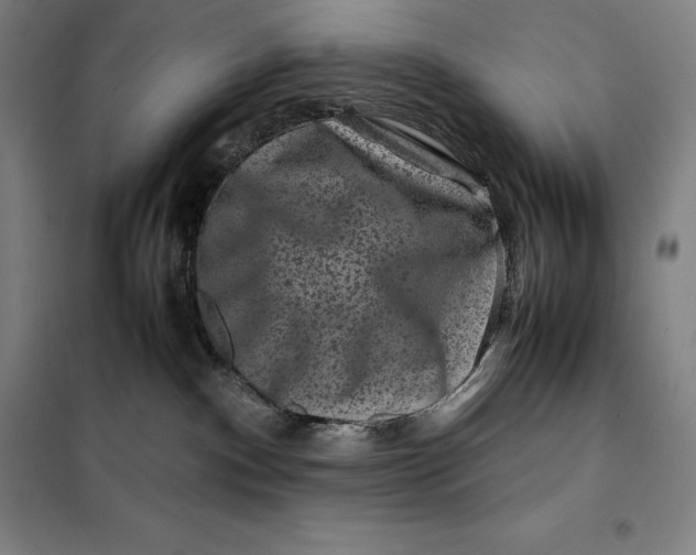 X0000099470140200805301604