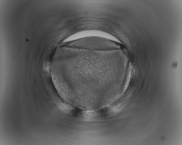 X0000099470141200805301604