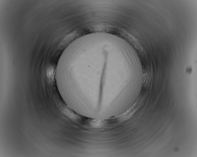 X0000099470142200805301604