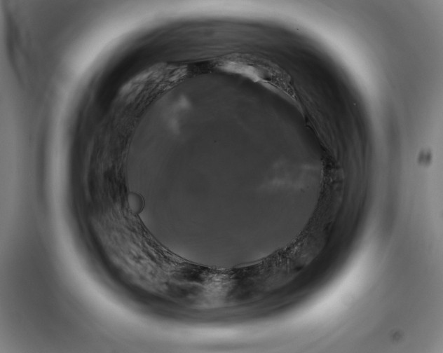 X0000099470143200805301604