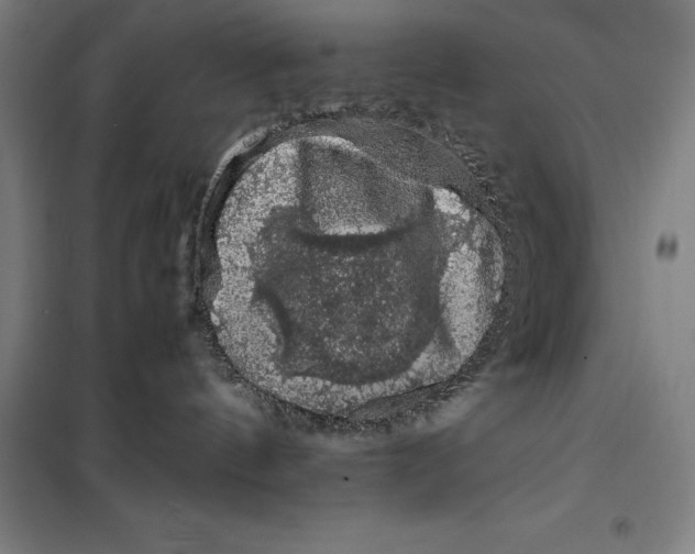 X0000099470144200805301604