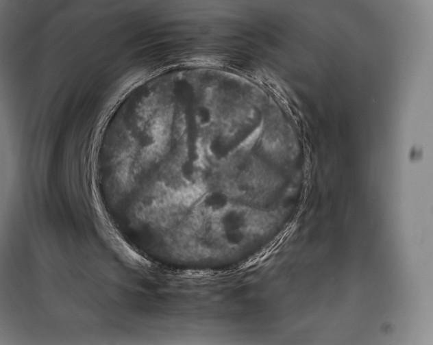 X0000099470145200805301603