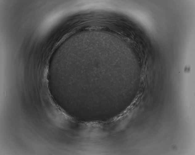 X0000099470146200805301604