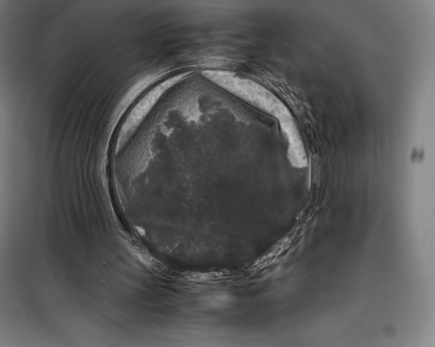 X0000099470147200805301604