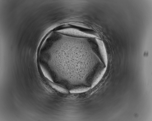 X0000099470148200805301604