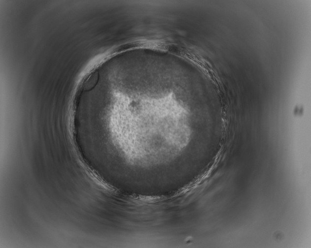 X0000099470149200805301604