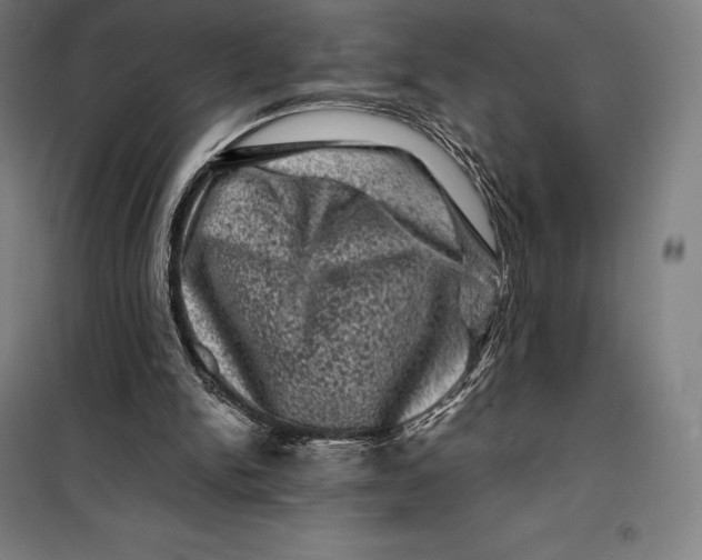 X0000099470150200805301604