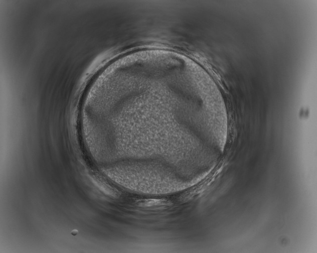 X0000099470151200805301604