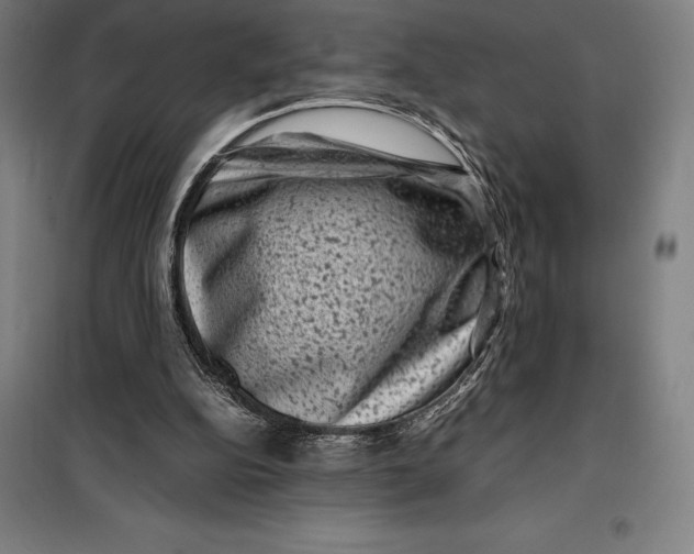 X0000099470152200805301604