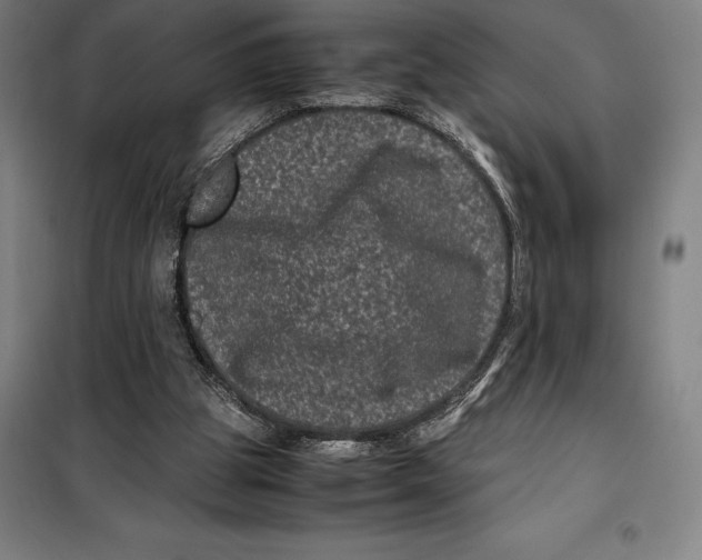 X0000099470153200805301604