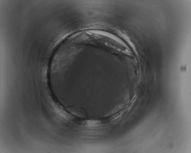 X0000099470154200805301604