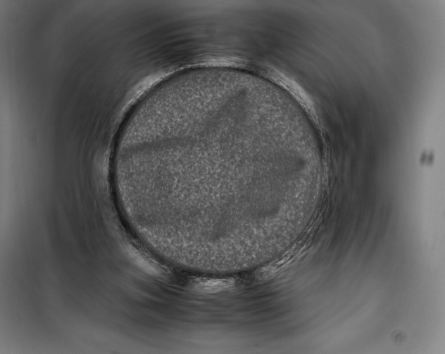 X0000099470155200805301604