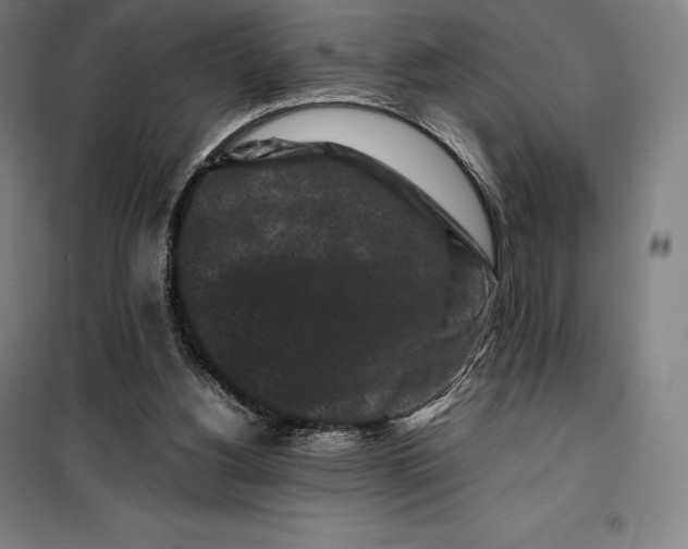 X0000099470156200805301604