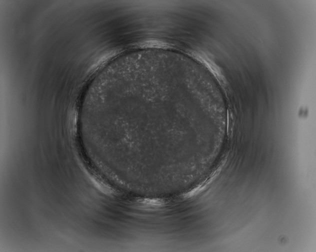 X0000099470157200805301604